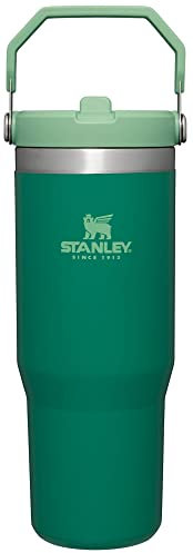 STANLEY IceFlow Stainless Steel Tumbler - Vacuum Insulated Water Bottle for Home, Office or Car Reusable Cup with Straw Leak Resistant Flip Cold for 12 Hours or Iced for 2 Days, Alpine, 30oz