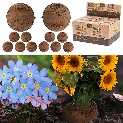 Set di 12 bombe per semi, 2 pezzi, colori assortiti, semi di campo, girasoli, semi di fiori