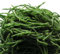 500 piezas Comprar semillas de espárragos de mar, semillas, semillas de plantas de interior Salicornia europea, Balcón verduras regalos jardín verduras frescas jardín cama elevada