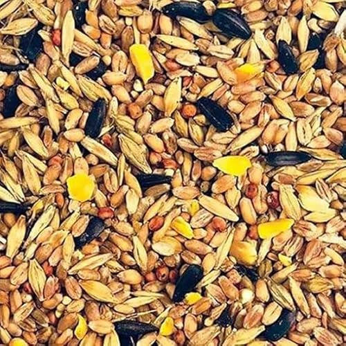 Mangime per uccelli selvatici con semi di girasole, mais e cereali misti