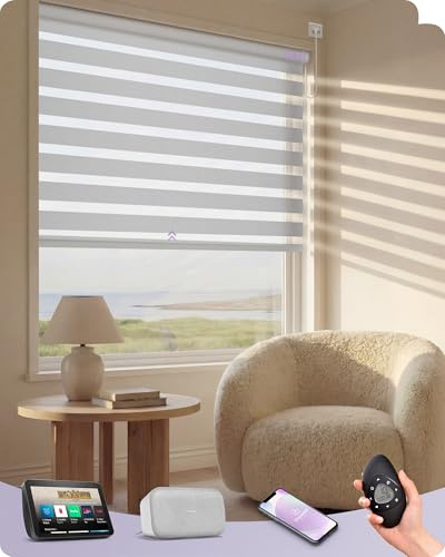 Graywind Textured Weave Motorised Zebra Blinds, Dim-Out or Translucent Dual-Layer Design, Hardwired Smart Electric Day Night Blinds, Made to Measure, Alexa Google Compatible, Luxury Silver White