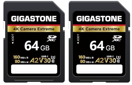 GIGASTONE 64GB 2er-Pack SDXC-Speicherkarte, 4K Kamera Extreme, bis zu 160 MB/s, kompatibel mit Canon, A2 V30 U3 UHS-I C10 für 4K UHD Video, mit 2 Mini-Hüllen