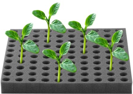 Bloque de plántulas de Esponja de Esponja de hidrocultura de algodón, Base de cría sin Tierra | Konkaver Kreuzschlitz Sponge para germinación y Golpes de Verduras, prácticos para la p