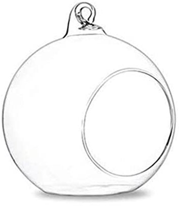 NUEAYMS Fioriera sospesa in vetro, terrario a forma di globo, portacandele, piante grasse, vaso per piante, terrario per casa, matrimoni, feste, decorazione interna ed esterna, 8 cm