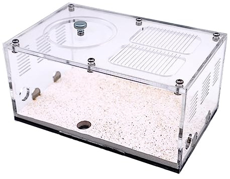 Ameisenhaus, Acrylbeton-Ameisennest-Schloss-Erweiterungs-Formicarium-Kit(Activity Area)