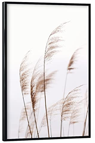 artboxONE Poster mit schwarzem Rahmen 30x20 cm Natur Modern Minimalist Plant - Bild modern Plant