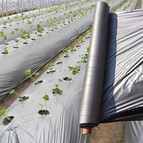 Paillage en plastique pour serre de jardin, verger, arbre fruitier, film noir argenté pour le contrôle des mauvaises herbes et une utilisation agricole réfléchissante 50 m