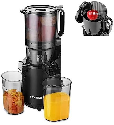 Repaly Compact Slow Masticating Juicer -Juicer Machines Up to 92% Juice Yield 3.1 Wide Chute for High Nutrient Fruits Vegetables,Cold Press Juicer Easy Clean with Brush Pulp Measuring Cup Reverse
