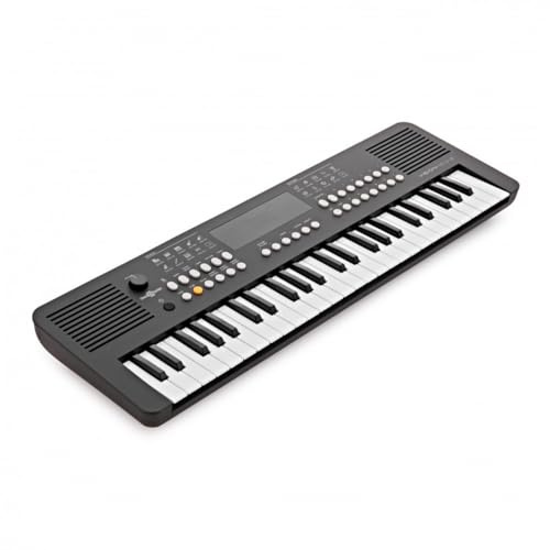 VISIONKEY-2 Portable 49-Key MIDI Keyboard - Mini Electric Piano Keyboard | For Beginners and Music Enthusiasts, 49 Mini Keys, 300 Sounds and Rhythms, USB MIDI, Headphone Output, Battery or USB Powered