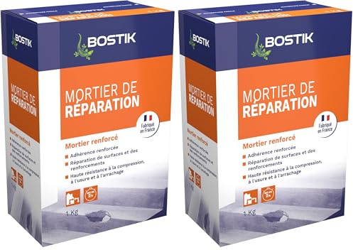 Bostik - Mortier de Réparation - Intérieur et Extérieur - Sol Et Mur - Scellement courant -1 kg (Lot de 2)