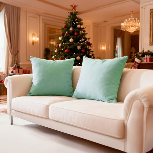 Encasa XO Conjuntos de Almohadas de algodón de algodón de 2 I 16x16 in (40 x 40 cm) - Menta Verde I No Insertar I Plain Square Cubas de Almohadas I Lavable | para Uso en Interiores