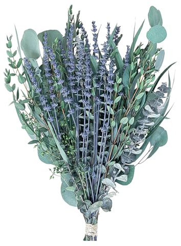 Feuilles d'eucalyptus artificielles | Bouquet d'eucalyptus | Ensemble de parfum d'eucalyptus | Décoration de plante de avec soutien respiratoire et décongestionnant naturel pour le