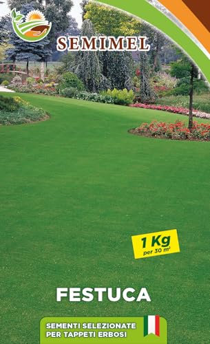 Festuca Arundinacea - Semi di Graminacea Perenne, Resistente alla Siccità e al Caldo, Per Prati e Aree Ricreative, 1kg, Adatta a Terreni Misti 1 confezione