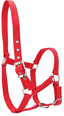 Cabestro de Control de Brida de Caballo con Correas engrosadas de Alta Densidad de 6 mm, Cabestro de Caballo Ajustable con diseño de Hebilla, Accesorio de equitación Duradero de