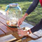QUAI SUD Fontaine Rhum Arrangé “Maxi Punch Party” 12L