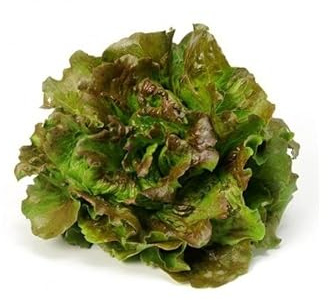 Sobre de Semillas de Lechuga Maravilla para Cultivar en el Hogar en Primavera y Verano