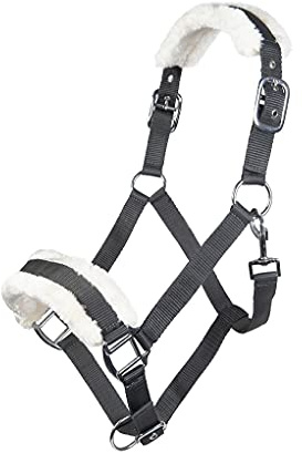 HKM 11796 Halfter Bischofshofen, Plüschpolsterung, Pferdehalfter, Lila, Warmblut