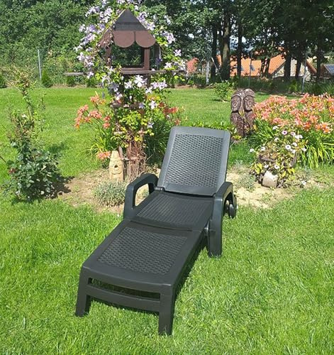 Dmora - Sonnenliege Saturno, Verstellbarer Gartenliegestuhl mit Armlehnen, Outdoor-Liege, 100% Made in Italy, 190x46h70 cm, Anthrazit
