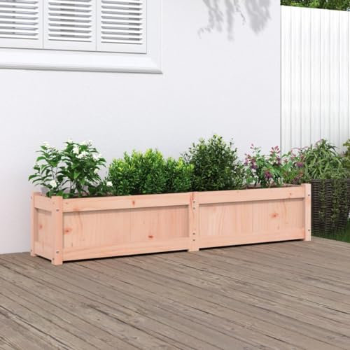 BAZZI Fioriera in legno di pino Douglasie, dimensioni 150 x 31 x 31 cm, ideale per giardino e esterni, funge da fioriera o aiuola rialzata