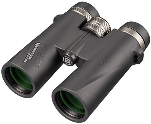 Bresser 1821043 Condor Dachkant Fernglas 10x42 wasserdicht mit Stickstofffüllung und UR-Mehrschichtvergütung Schwarz