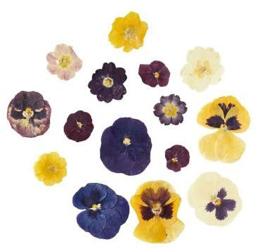 Edible Pressed Flowers - violas, pansies and primroses