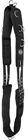 Start Neoprene MoldedFoam Longiergurt Pferd, Voltigiergurt, 12 Ringe mit verstellbarem Bauchgurt, Longeersingel Warmblut Vollblut Reithilfe (Schwarz, Full (Warmblut))