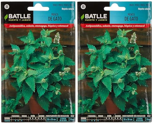 Battle - Semi Aromatici Menta di Gatto (Semi - 80-100Cm) (Confezione da 2)