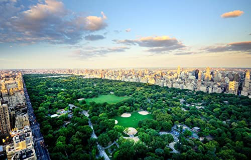 LHJOYSP Jungen 3D Puzzle 1000 Teile City, New York, U.S. Central Park 75x50cm
