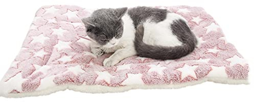 Caneem Couverture apaisante pour Chat Confortable - Couverture Mignonne d'impression de Patte | Couverture en Flanelle pour Animaux de Compagnie Super Douce et Moelleuse, Tapis Chauds pour Animaux de
