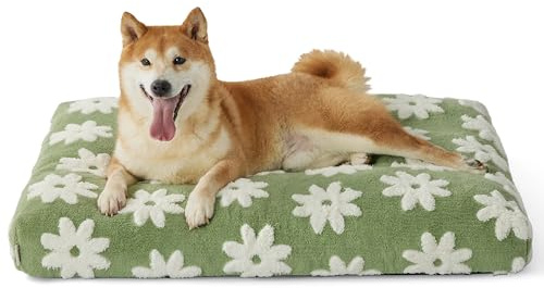 LE SURE Dog Beds Large Sized-Thick Shredded Chopped Foam Pet Bed Indoor as Bed Gift with Removable Cover, Cute Modern Fuzzy Plush & Anti Slip Bottom, Green