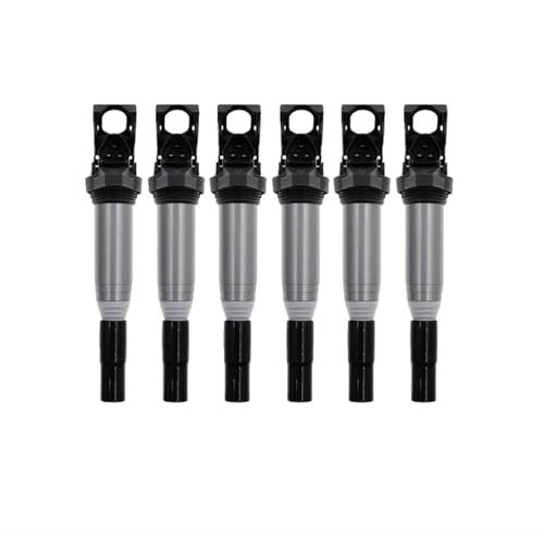 DZSYANJIASM Zündspule N20/N55 Zündspule #12138616153 Für Für E46 E90 E60 E84 F30 F18 E64 E87 E92 F22 F07 F10 F11 E63 X1 X3 X4 X5 X6 Z4 Für M4 Zündanlagen Glühanlagen(6PCS)