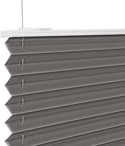 Plissee ohne Bohren Anthrazit 50x100cm Plissee Klemmfix Version Plisseerollo Sichtschutz und Sonnenschutz Blickdicht Easyfix lichtdurchlässig Rollo für Fenster & Tür