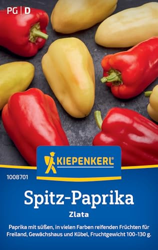 Kiepenkerl Spitz-Paprikasamen Zlata 1008701, Gemüsesaat | Bunte, pflegeleichte Paprika für Freiland, Gewächshaus & Kübel, leuchtende Paprika Samen, Wuchshöhe 80-100 cm