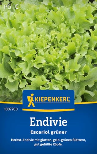 Kiepenkerl Endiviensamen Escariol Grüner 1007700, Gemüsesaat | Salatsamen für Spätsommer bis Frühwinter Ernte, milder Geschmack durch Bleichen, aromatisch