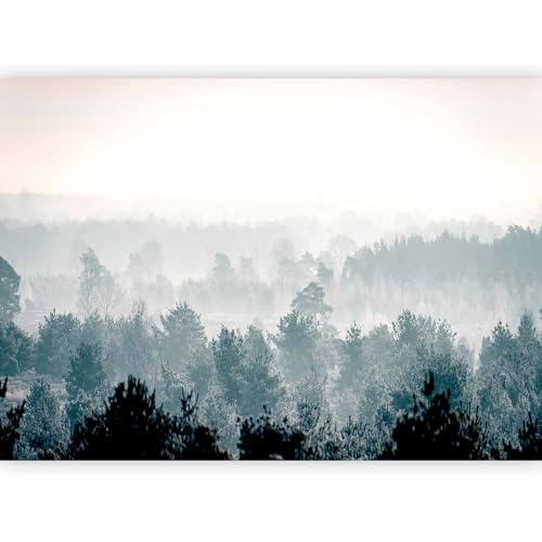 murando - Carta da Parati Adesiva Moderna per Soggiorno, Bosco, 343x256 cm | Fotomurale Autoadesiva, Pellicola Murales, Decorazione da Muro XXL, Carte da Parati Moderne, Foresta, Produzione Europea