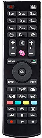 Télécommande RC4870 RC4875 Universelle pour Bush/Polaroid/Digihome/Logik/VESTEL/JMB Remplacement de la Télécommande du téléviseur - Aucune Installation Requise