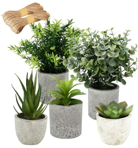 5 Stück Kunstpflanze - Mini Künstliche Pflanzen, Kleine Kunstpflanzen im Topf, Eukalyptus Schlangenzunge, Agave Sukkulente, Eagle Claw Aloe für Wohnzimmer Schlafzimmer Badezimmer Küchen Büro Tischdeko