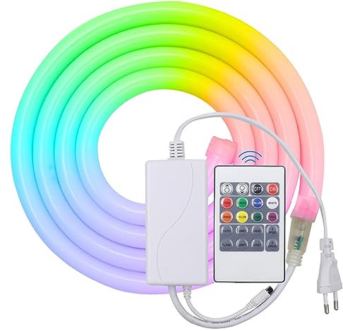 HEGEHE Striscia al neon a tubo tondo RGB 220V, flessibile impermeabile IP65, striscia LED con illuminazione a 360 gradi + controller, adatta per decorazioni fai da te per interni ed esterni (1M)