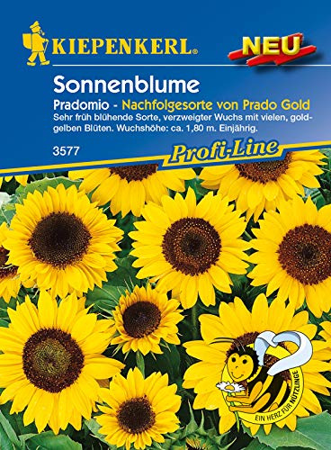 Kiepenkerl 3577 Sonnenblume Pradomio (Sonnenblumensamen)
