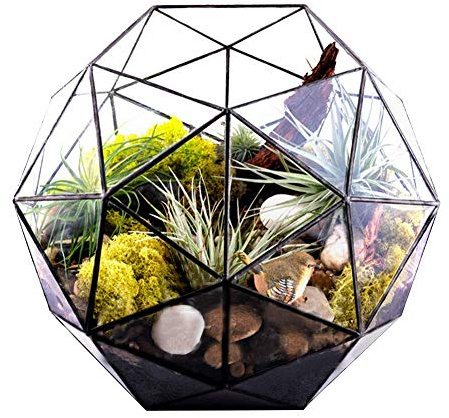 Geometric Glass Terrarium, Elegant Geometric Flower Pot Glass Terrarium Home Geometric Decor Box Tabletop Pentagon Ball Shape Planter Pot