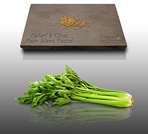 100 graines d'Aromatiques à semer - Le Grenier d'Abondance - CELERI Blanc Pascal - Apium graveolens