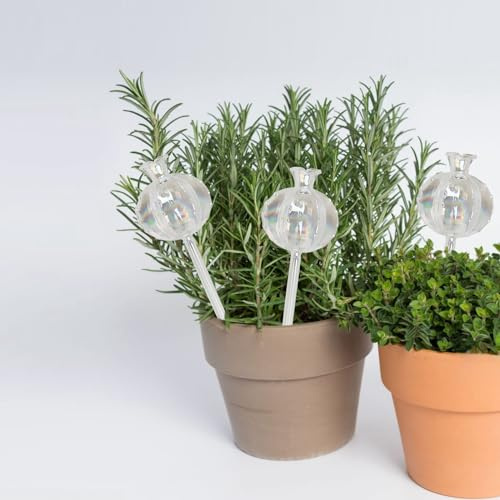 Yuecuu Bolas de riego de cristal, 3 unidades para plantas en maceta, bolas de riego automático para vacaciones, dispositivo de riego por goteo automático para plantas de interior y exterior
