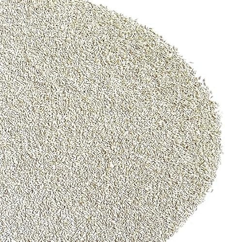 GRAMIGNA (CYNODON DACTYLON) CON RHIZO | Tappeto molto denso e verde scuro, Buona resistenza alla siccità e all'ombreggiamento, Ottima resistenza al calpestio | Il Contadino - Antiche Sementi (500g)