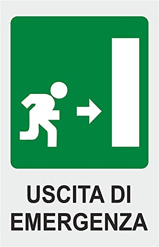NEW CARTELLO SEGNALETICO - USCITA DI EMERGENZA MODELLO 2 - Adesivo Extra Resistente, Pannello in Forex, Pannello In Alluminio (Pannello in Alluminio 20x31)