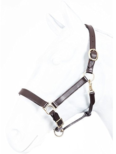 Marengos - Lederhalfter Robust – Halfter für Pferde – Pferdehalfter mit extra gepolstertem Nasenriemen & Genickstück – Messingbeschläge – mehrfach verstellbar – in Braun – Vollblut