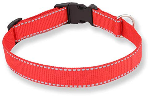 Monkimau Hundehalsband Große Hunde Leuchtend aus Nylon