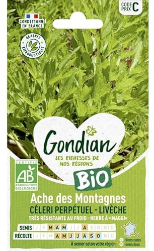 Gondian - Ache des montagnes Céleri Perpétuel-Livèche bio