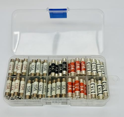 Ledangel Basics FuseBox - 100x Colour-Coded BS1362 Plug Fuses (1A-13A) in Portable Carry Case | Ideal for Appliances, DIY, & Home Repairs