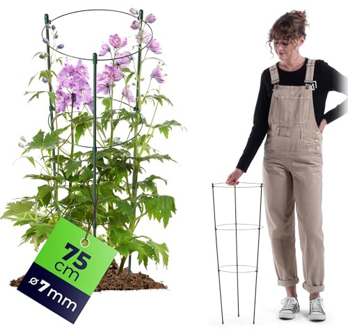 KADAX Växtstöd för växter, 75 cm, växtstöd av stål, blomstöd, växthållare, spaljé för klätterväxter i trädgården eller blomkrukan, rankturm för tomater