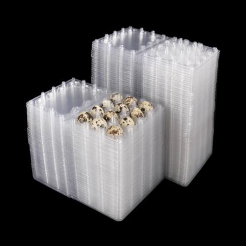 KUKLIPJIM Confezione da 250 scatole per uova di quaglia, in plastica trasparente, possono contenere fino a 12 uova di quaglia in modo sicuro, i tuoi piccoli contenitori per uova di quaglia per riporre